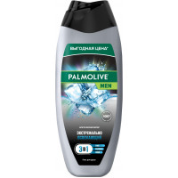 Гель для душа 3 в 1 Palmolive (Палмолив) Мужской Арктический ветер, 450 мл