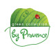 Освежители воздуха Green collection by Provence