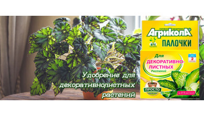 Новинка: Удобрение для декоративнолистных растений Агрикола