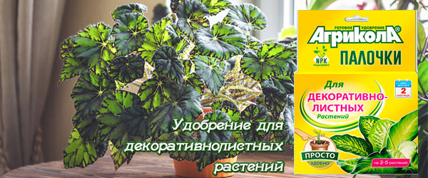 Новинка: Удобрение для декоративнолистных растений Агрикола