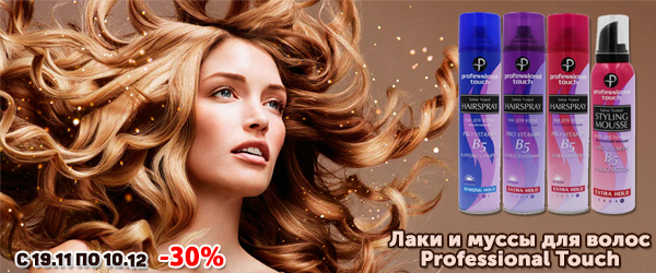 Акция: лаки и муссы для волос Professional Touch со скидкой до 30%