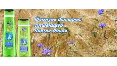 Новинка: Шампунь для волос с пшеницей Чистая Линия
